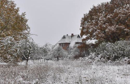 Ferienwohnung ehemalige Revierförsterei "uns Lütt" - Photo 27