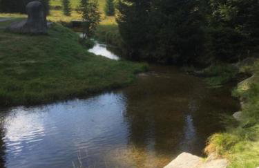 Apartmán Frauenberg - Haidmühle - Foto 26