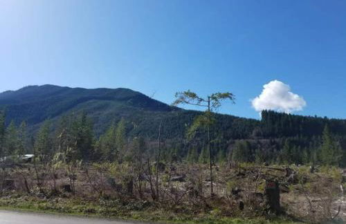 Mt Rainier Little Green Cabin On Big Creek! - Foto 20
