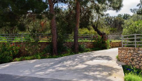 Eleni's House - Foto 5