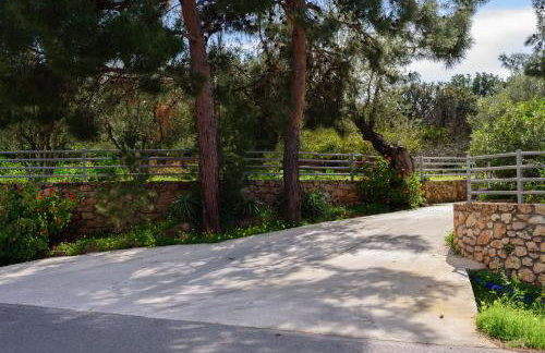 Eleni's House - Photo 5