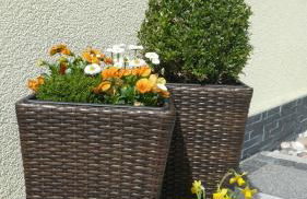 Blackforest Apartment - Foto 20