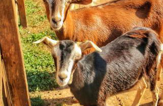 Agriturismo Helianthus - Foto 31