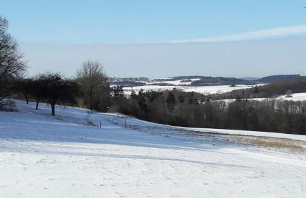 Haus Resi in Kleinich - Foto 36