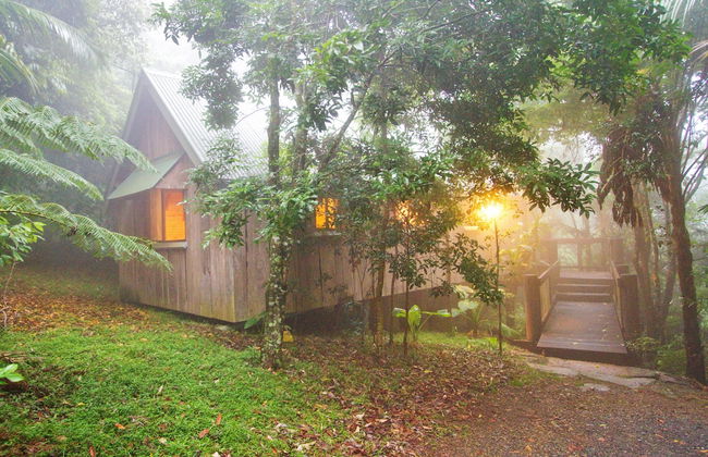 Mt Glorious Getaways - Foto 3