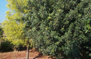 Country House in Anavyssos - Foto 27