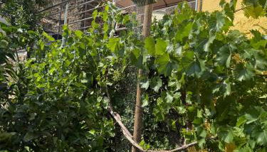 Casa do Beco - Foto 4