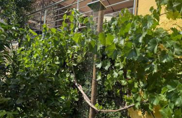 Casa do Beco - Foto 4