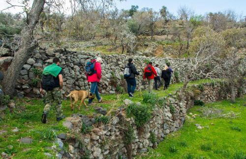 Casa Del Mare Sea View House up to 6 guests - Photo 46