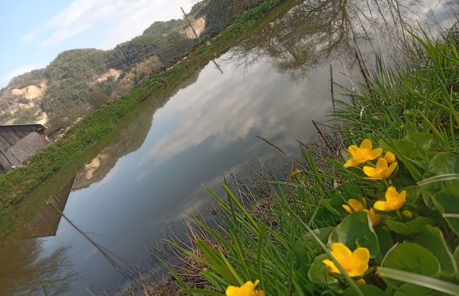 Room in Guest Room - Cozy Rural Retreat in Roşia Montana - Photo 66