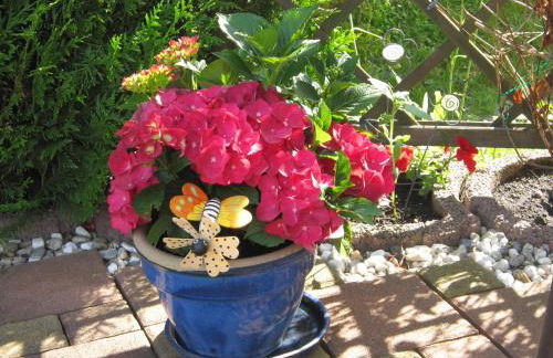 ****Fewo "Alltag...ADE'" - Foto 22