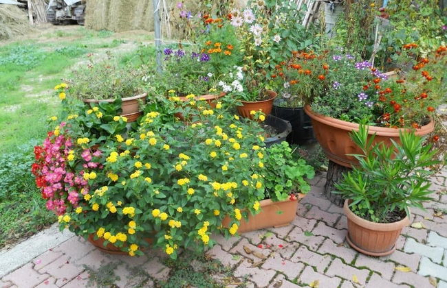 Agriturismo Monti Sibillini Camperato - Photo 24