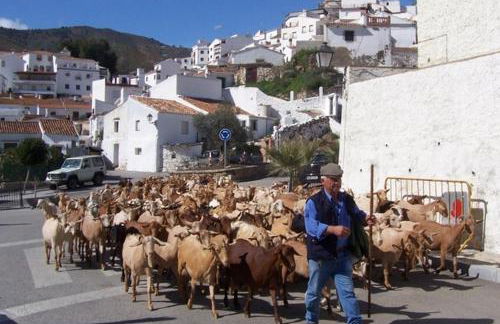 Casa Stork - Foto 16