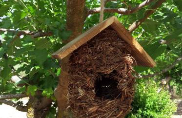 STATHI'S COTTAGE - Foto 21