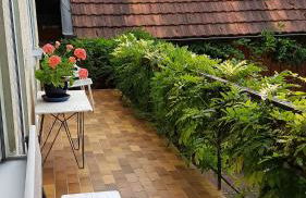 Apartment Weinbergglück - Foto 16