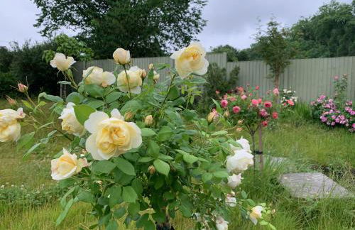 Trillow House, Clungunford, Ludlow - Foto 29