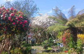 Chy An Geddon - Foto 8