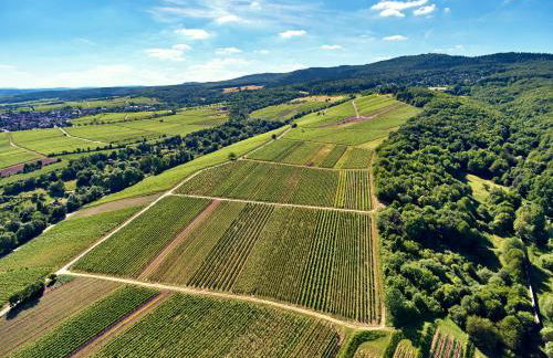 BALTHASAR RESS Guesthouse am Rebhang im Rheingau - Foto 19