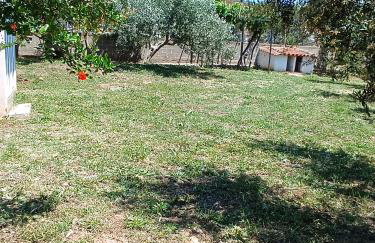 Grandmas Cottage - Photo 42