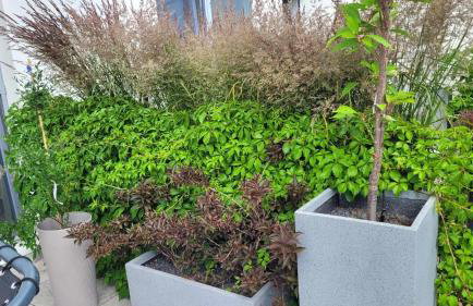 apartament przy plaży w Redłowie - Photo 15