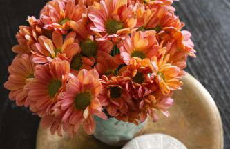 Victorian Retreat in Barrio Logan 1mi to Downtown - Foto 70