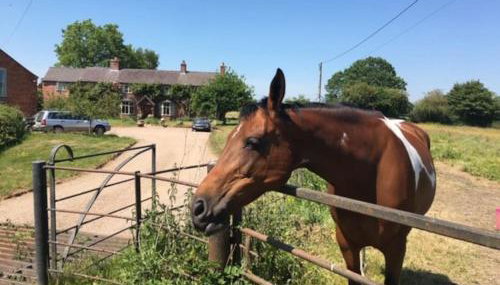 A charming unique lodge, with log burner and incredible views - Foto 5