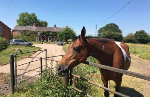 A charming unique lodge, with log burner and incredible views - Foto 5