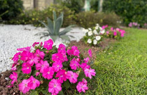 CHALET VELA Natura e Relax - Foto 61