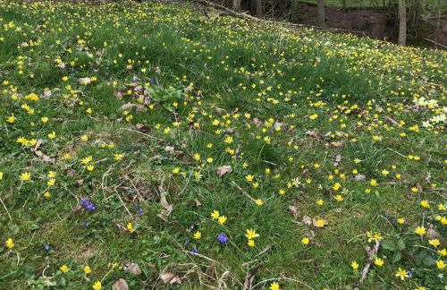 Cosy Stable at Oak Farm - Foto 19