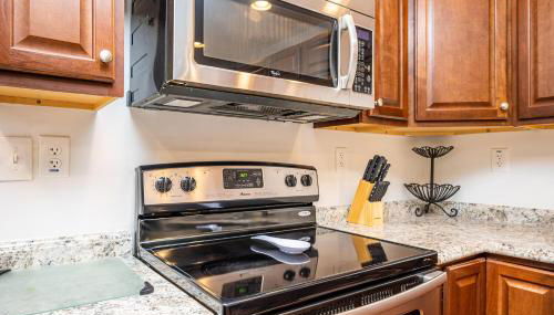 Cozy Bohemian 2 bed 1 Bath in Decatur - Foto 4, stove, pet friendly, minibar