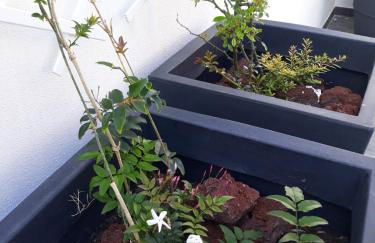 Sunrise - Casa Sao Joao - 4 Star Tourist Apartments - Photo 51