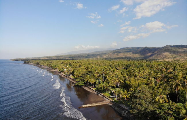 Ciliks Beach Garden - Foto 44