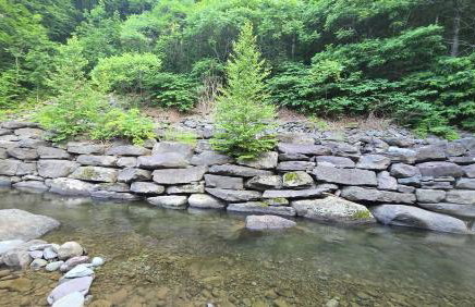 1920s Phoenicia Bungalow with Vintage Furnishings, Sauna, Fireplace, & Fenced Backyard - Foto 32