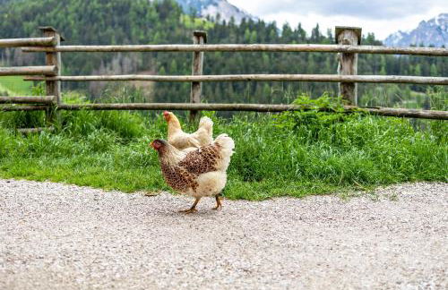 Bolser App Piz da Peres - Foto 34