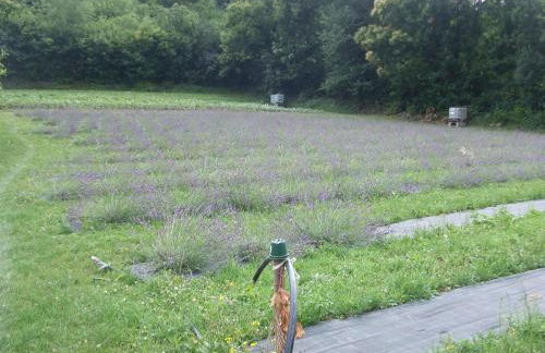 Agriturismo Cascina Rossano - Foto 51