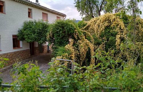 Mesoncillo NEO - Foto 12