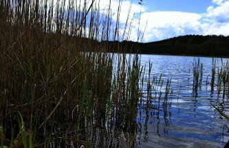 Domek nad jeziorem, a morze w gratisie - Foto 48
