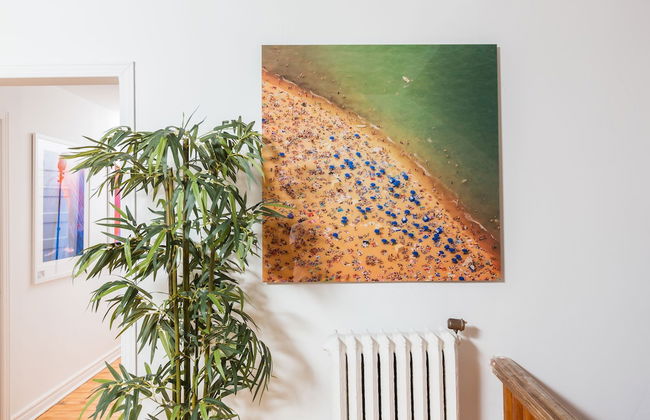 Applewood Suites - Palmerston Avenue - Photo 33