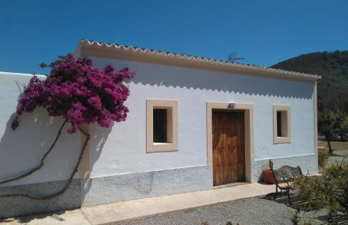 Can Pep Pardal - Foto 10