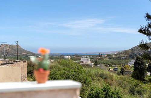 Rosa 's house - Foto 21