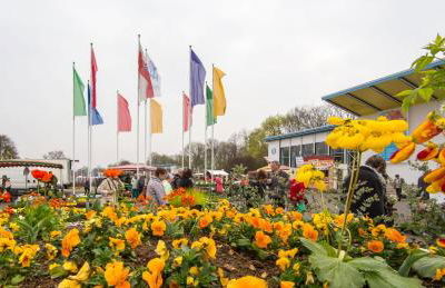 Ferienhaus-Pressler-Erfurt - Foto 20