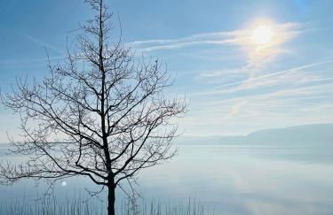 Ferienwohnung in Stockach am Bodensee - Photo 44