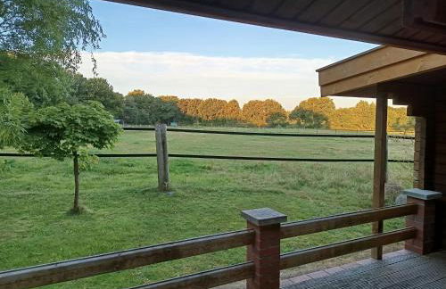 Ferienhof Schmeder-Heide - Foto 18