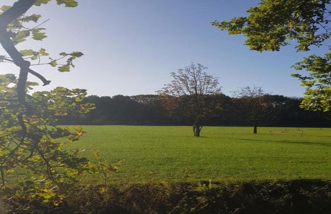Holiday Home in Netherlands Pond View - Photo 40