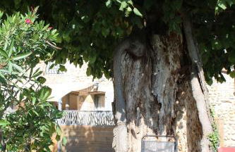 Les Gîtes de Genas - Foto 74