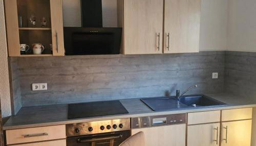 NEU! Ferienwohnung Elsteraue OG rechts - Foto 2