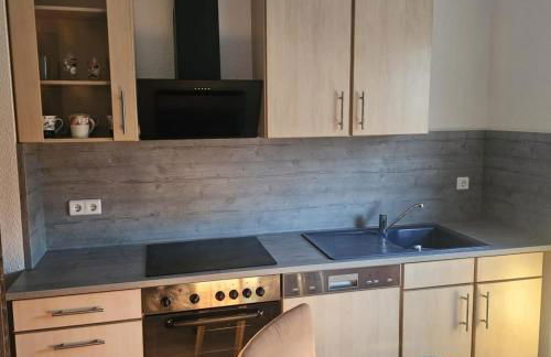 NEU! Ferienwohnung Elsteraue OG rechts - Foto 2