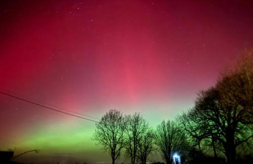 Cosy Rural Barn with Private Garden & Forest - The Cart Barn - Foto 39