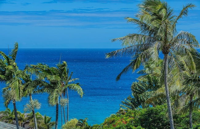 Kapalua Ridge Villas-#2212 2 Bedroom Condo - Foto 37