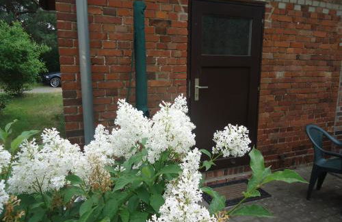 Zur alten Jugendherberge - Foto 20